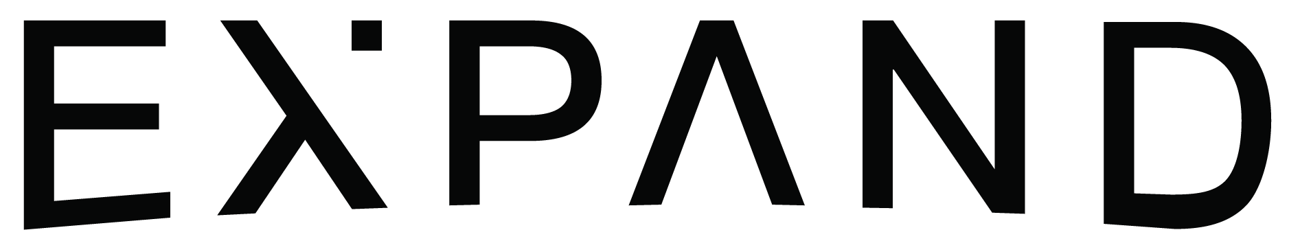 EXPAND STRATEGIES LTD